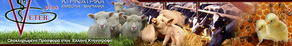 banner02.jpg